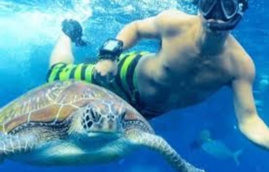 Marsa Alam