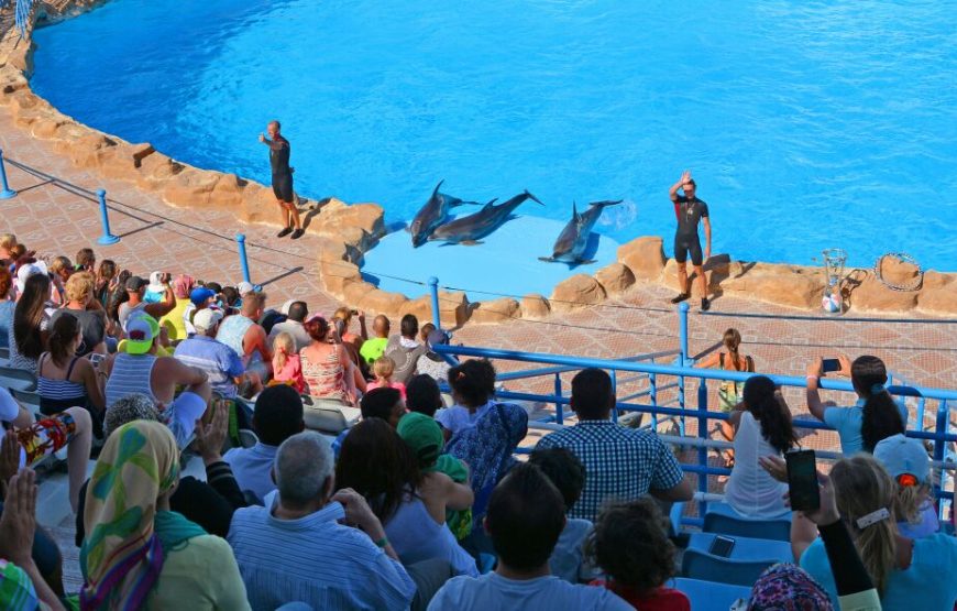 Hurghada Adventure – 6 Days / 5 Nights All-Inclusive Getaway