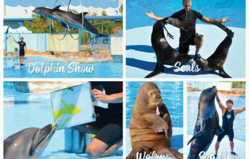 Hurghada Adventure – 6 Days / 5 Nights All-Inclusive Getaway