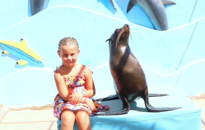 Hurghada Adventure – 6 Days / 5 Nights All-Inclusive Getaway