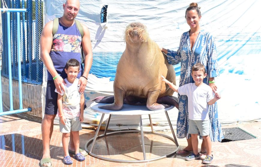 Hurghada Adventure – 6 Days / 5 Nights All-Inclusive Getaway