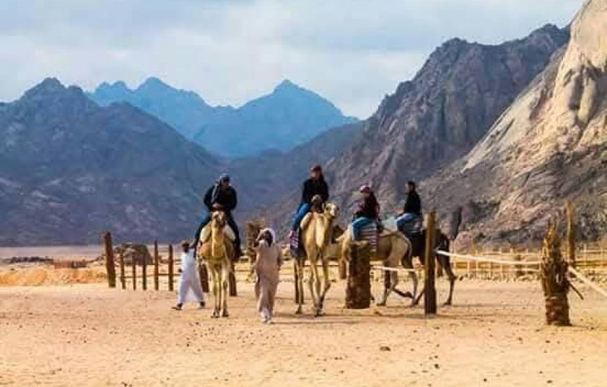 Hurghada Adventure – 6 Days / 5 Nights All-Inclusive Getaway