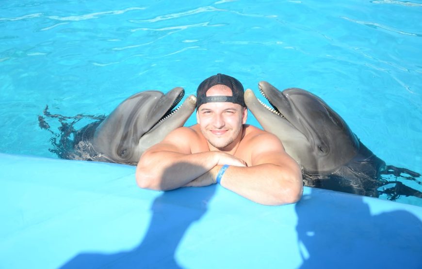 Dolphins Show & Swimming with Dolphins