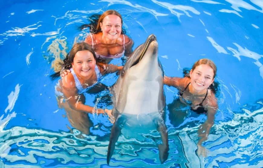 Dolphins Show & Swimming with Dolphins