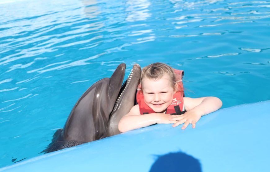 Dolphins Show & Swimming with Dolphins