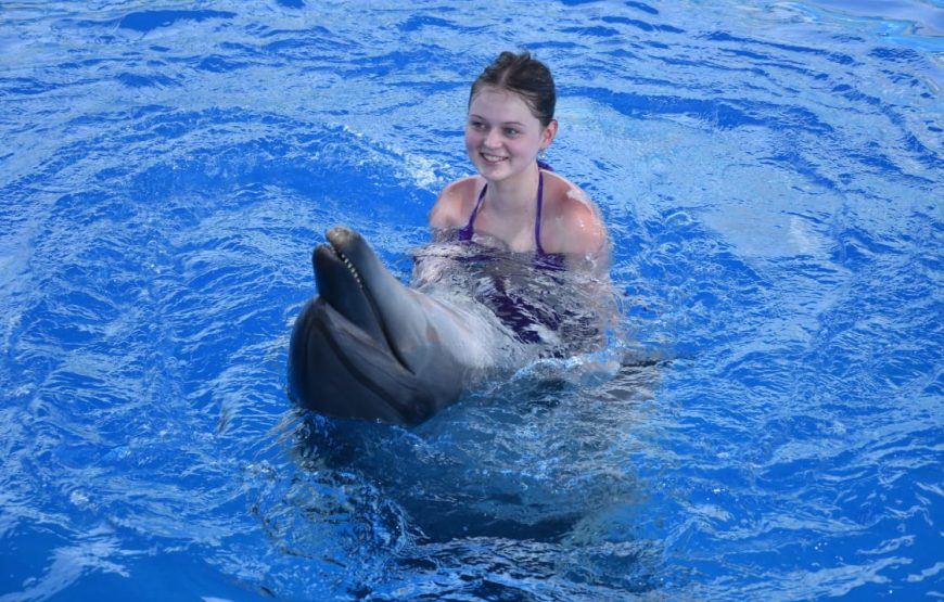 Dolphins Show & Swimming with Dolphins