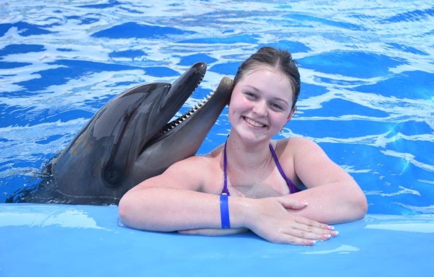 Dolphins Show & Swimming with Dolphins