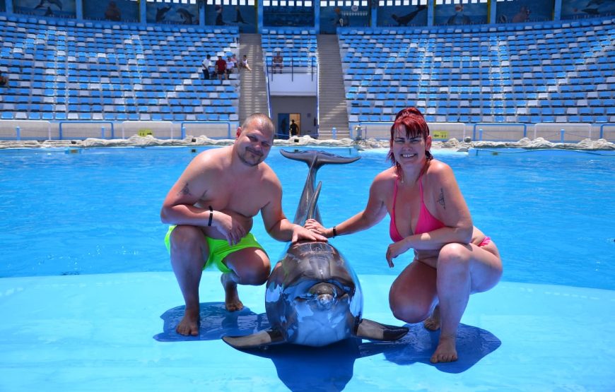 Dolphins Show & Swimming with Dolphins